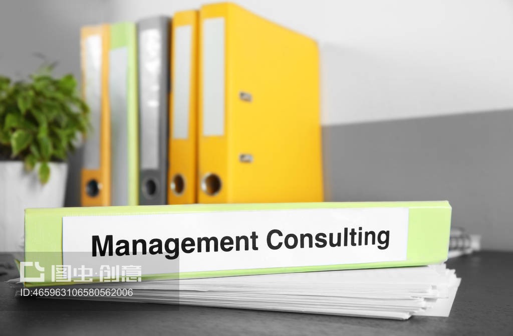 帶標簽管理咨詢文件夾Folder with label MANAGEMENT CONSULTING